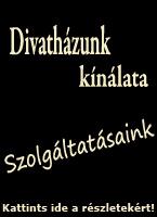Divath&aacute;zunk k&iacute;n&aacute;lata - szolg&aacute;ltat&aacute;saink